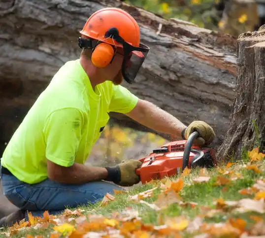 tree services Crystal City